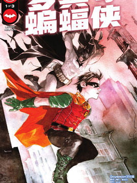 罗宾与蝙蝠侠,DC Comics,简体