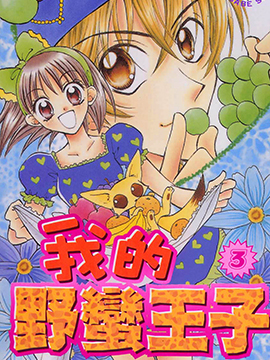 我的野蛮王子,安藤夏美,简体