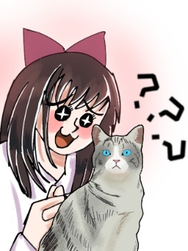 猫警长,,简体