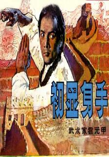 武術家霍元甲,連力　等,简体
