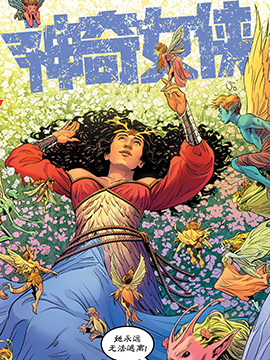 神奇女侠V5,DC Comics,简体