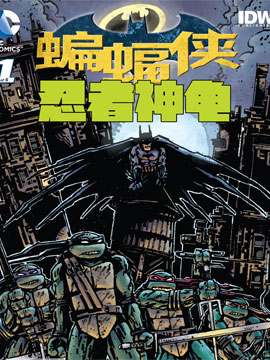 蝙蝠侠与忍者神龟,DC Comics,IDW,简体