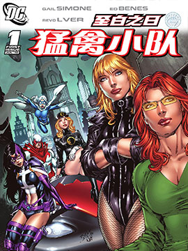 猛禽小队V2,DC Comics,简体