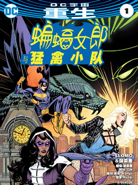 蝙蝠女郎与猛禽小队,DC Comics,简体